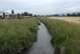 Middle Creek upstream