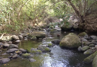 Narbey Stream upstream