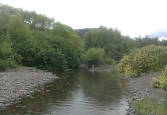 Oaro Stream upstream