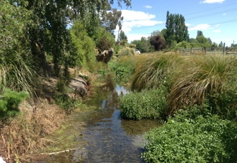 Ohoka Stream Bradleys Road Upstream