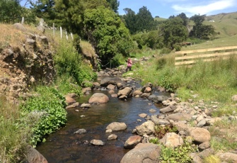 Opara Stream upstream