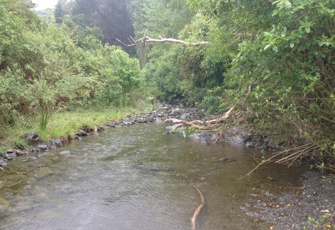 Ote Makura Stream upstream
