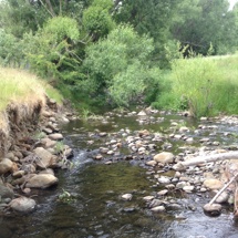 Owhetoro Stream 
