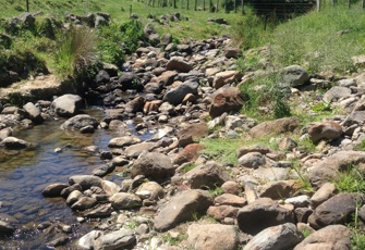 Pawsons Stream Upstream