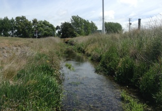 Rhodes Stream upstream