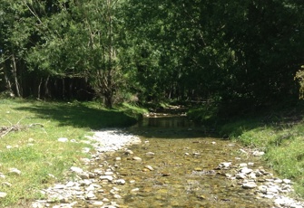 Ribbonwood Creek upstream