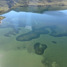 Lake Hawdon