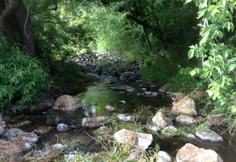 Purau Stream upstream