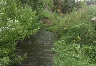 Saltwater Creek Toppings Road