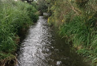 Silverstream at Lincoln-Leeston Rd