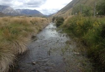 Slovens Stream at Craigburn Road