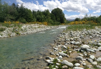 South Opuha River at Clayton Rd
