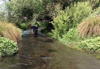 Styx River at Styx Mill Reserve