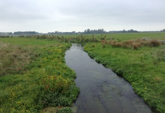 Waikakahi Stream at Old Ferry Rd