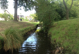 Waimari Stream at Kotare Road