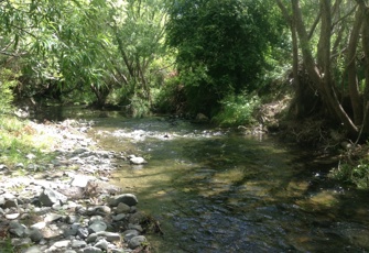 Waitohi River at Lake Sumner Road
