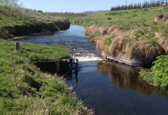 Awanui at the Flume