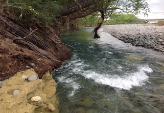 Tukituki River at SH50