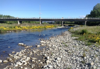 Opihi at Allandale Bridge