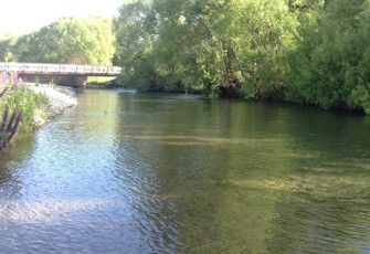 Twizel River at SH8 Bridge