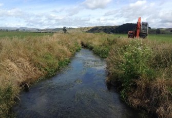 Waikakahi Stream at Cock & Hen Road