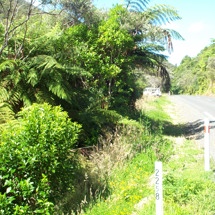 Waikawau River