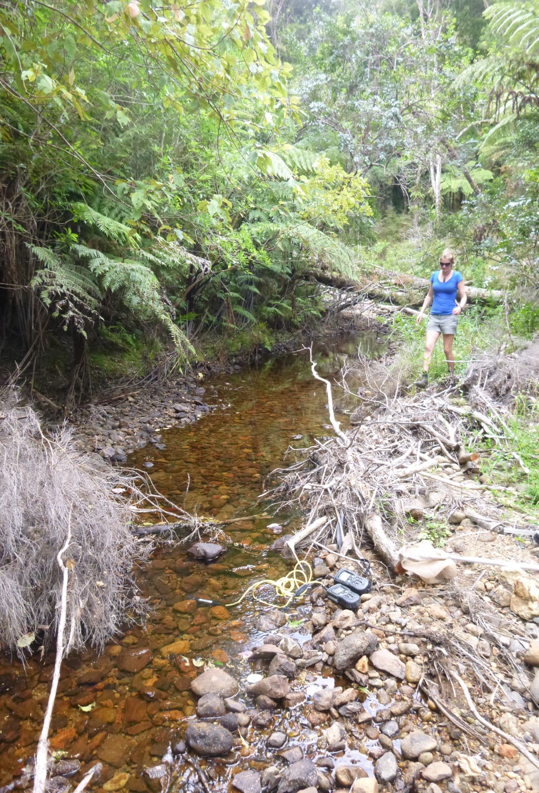 Mangatu Stream