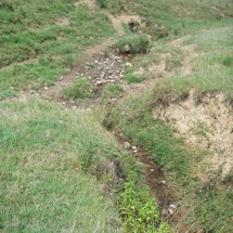 Kiritehere Stream