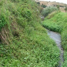 Huriwai River