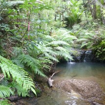 Ahirau Stream