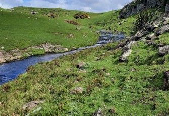 Te One Creek at Waitangi Wharf Owenga Road upstream