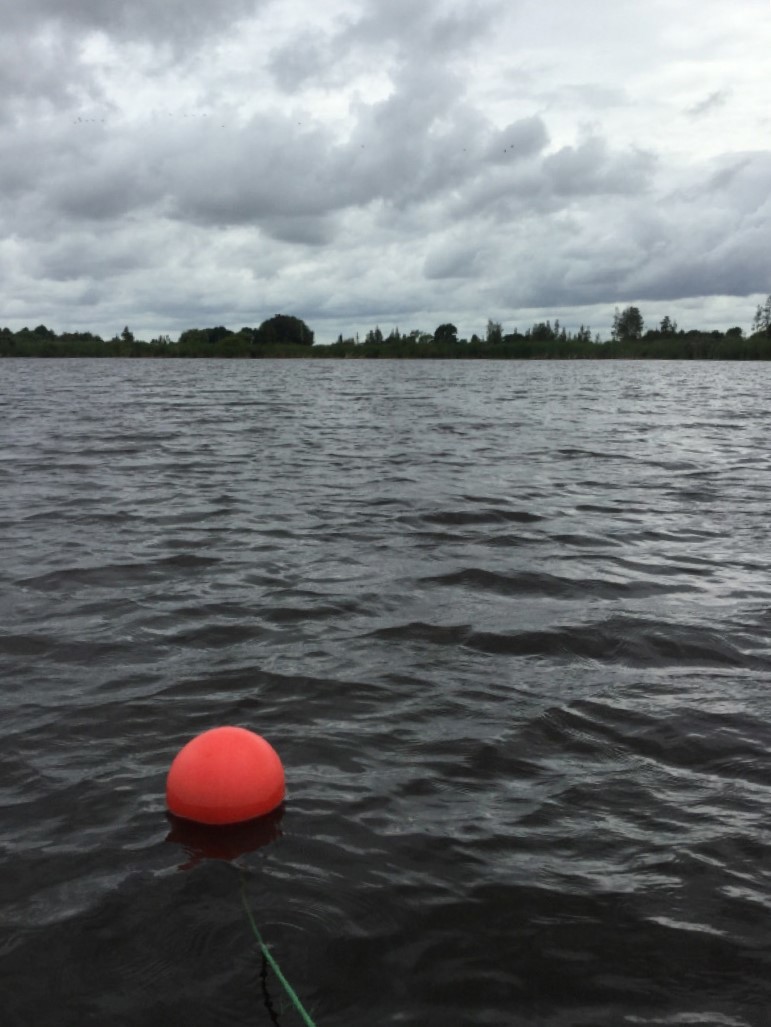 Lake Rotomanuka South (Gin)