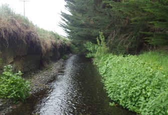 Hanmer Road Drain