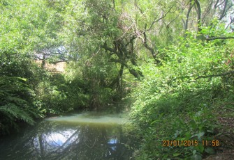 Tupapakurua at SH 5
