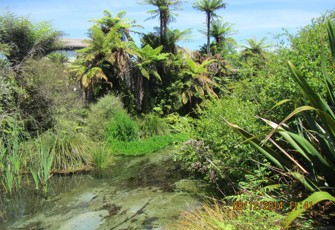 Waiiti at SH 30