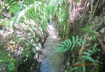 Te Toroa Trib. at SH 30