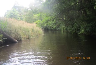 Puarenga