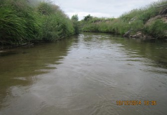 Raparapahoe at Te Puke Highway