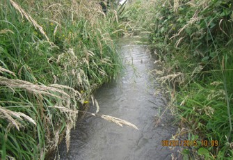 Waingaehe at Above SH 30