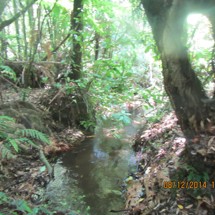 Lake Rotoehu