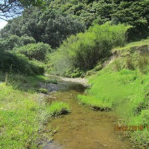 Maraehako