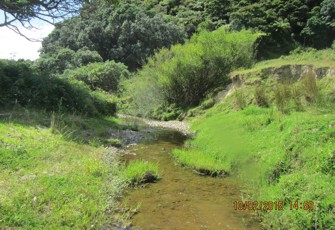Waiiti at SH 35