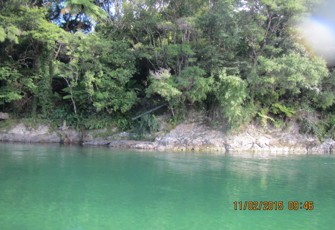 Motu at SH 35