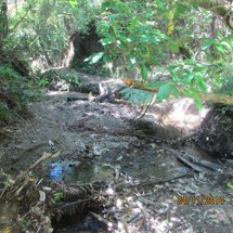 Te Hiku o te Tuna (Ohope Scenic Reserve)