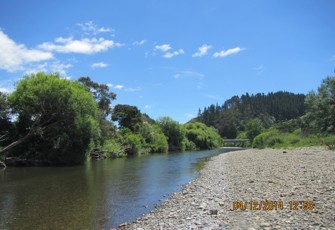 Otara at Browns Bridge