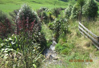 Pongakawa Trib at Rotoehu Rd
