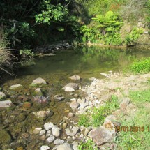 Tahawai