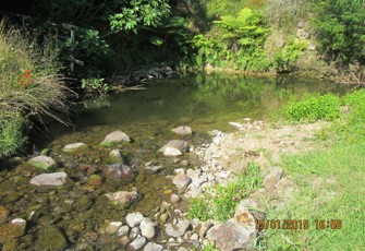 Tahawai at 164 Lindemann Rd