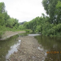 Waiaua