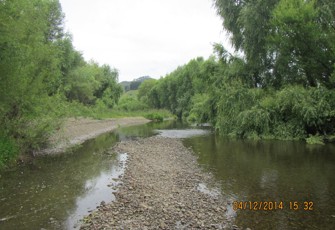 Waiaua at Waiaua Rd